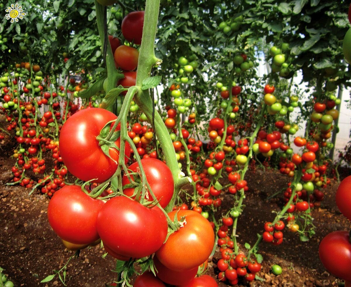 Ну как тут не "упасть"