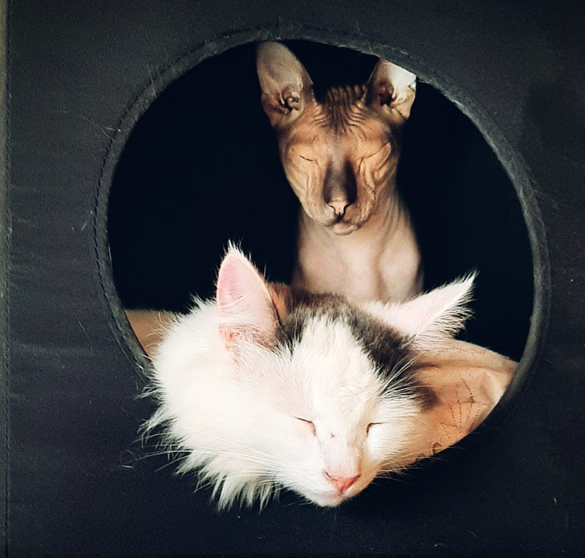 Фото взято из личной галлереи