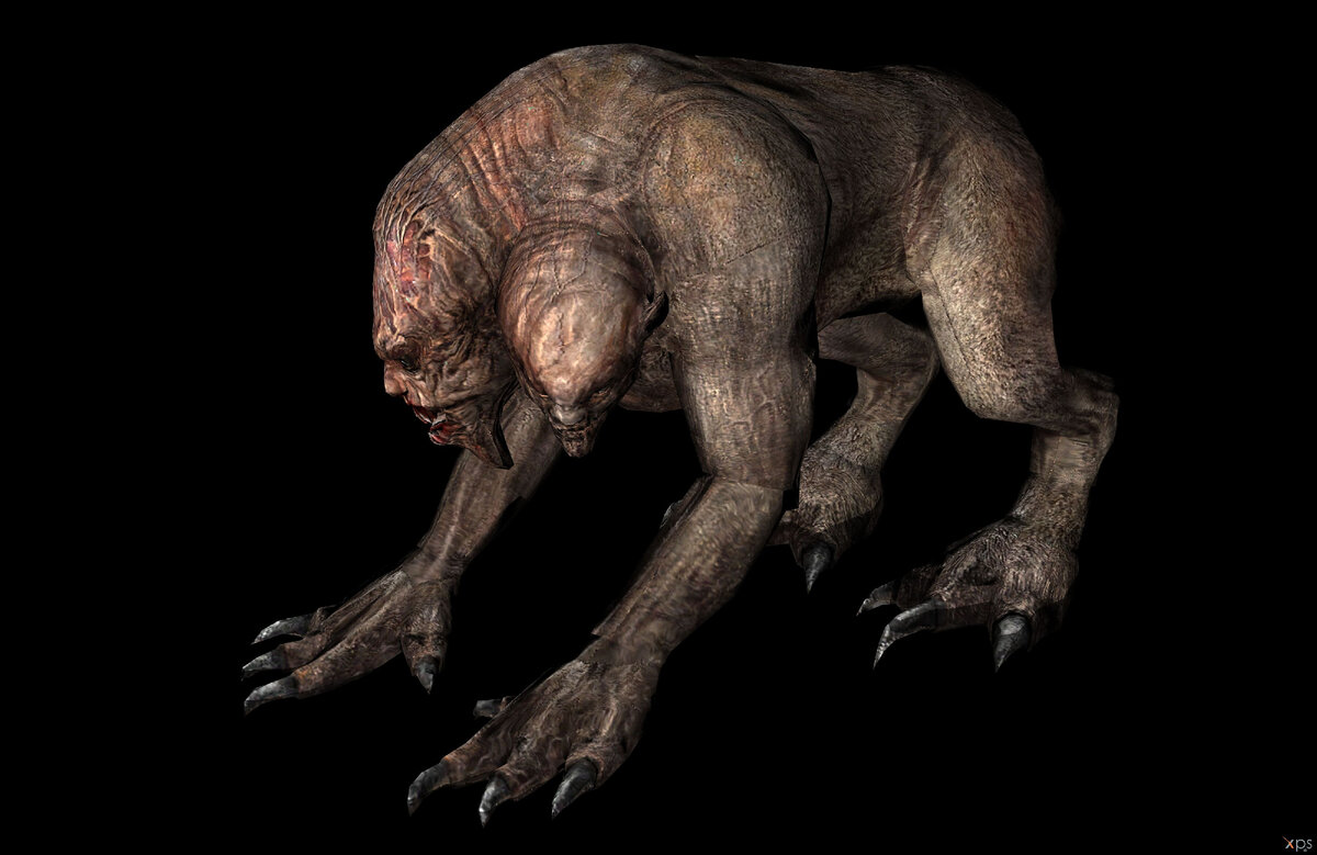 изображение из Яндекса 