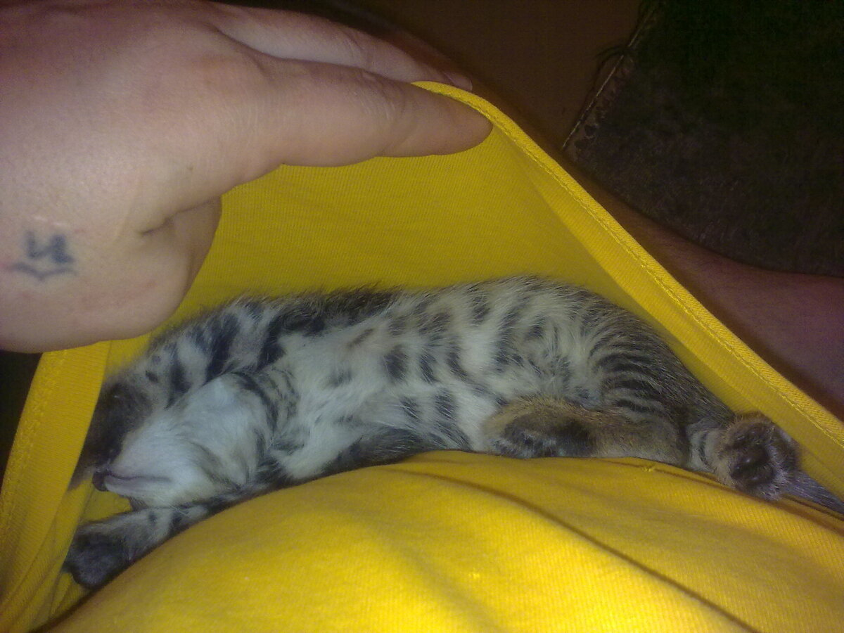 Так он спал. В подоле;)