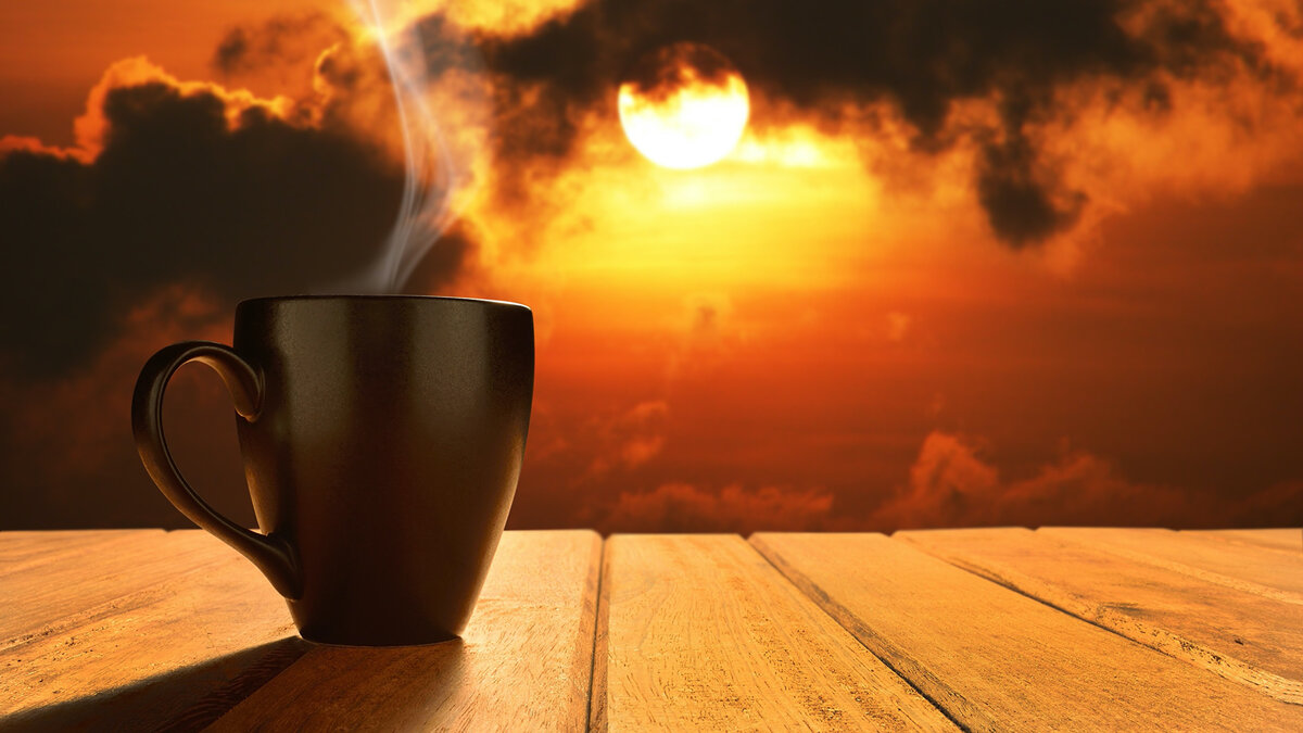 фото из сети