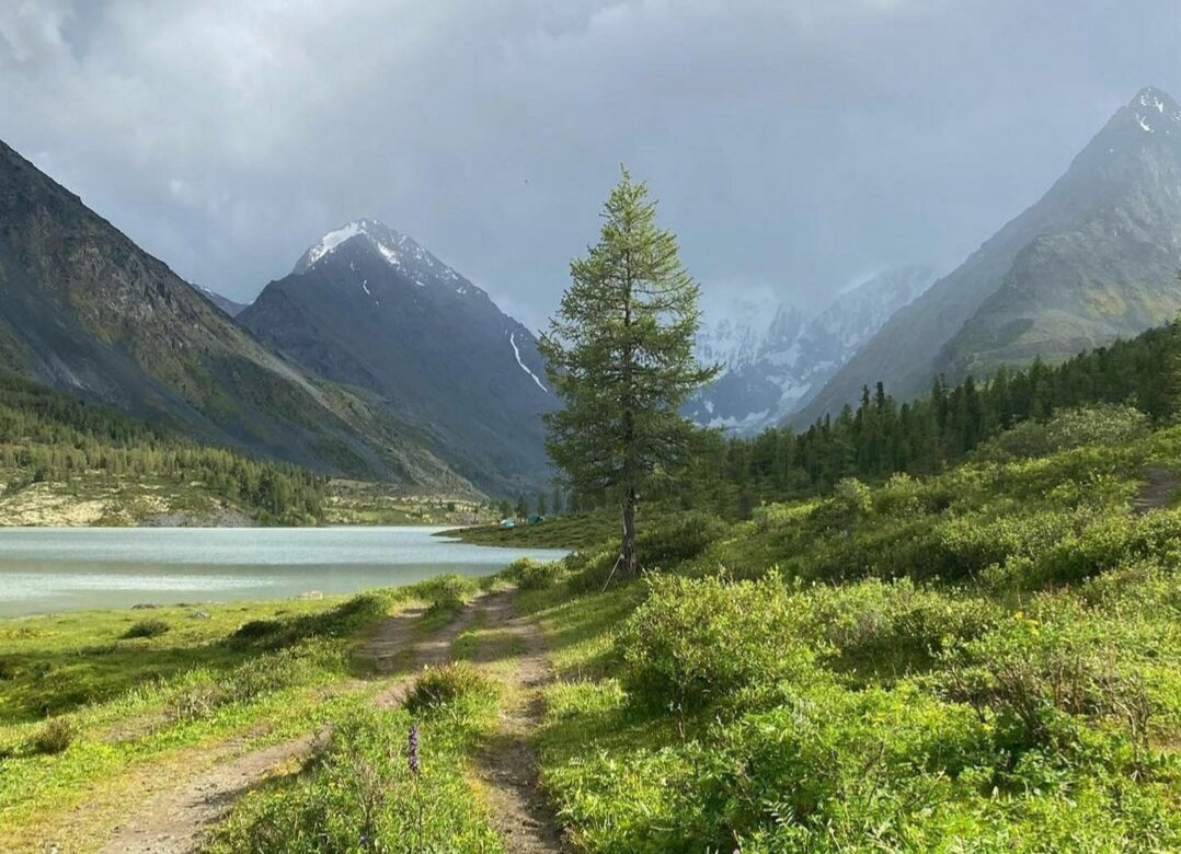 Гора Белуха - самая высокая вершина Алтая, за фото спасибо @ust_koksz04