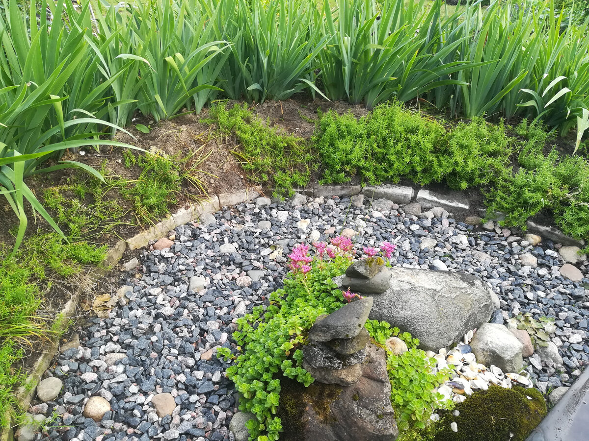 Фотографии сделаны в разное время суток, в разных погодных условиях