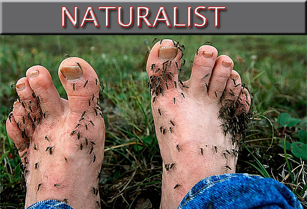 Английский самостоятельно на онлайн тренажере 'English UNIMAG'