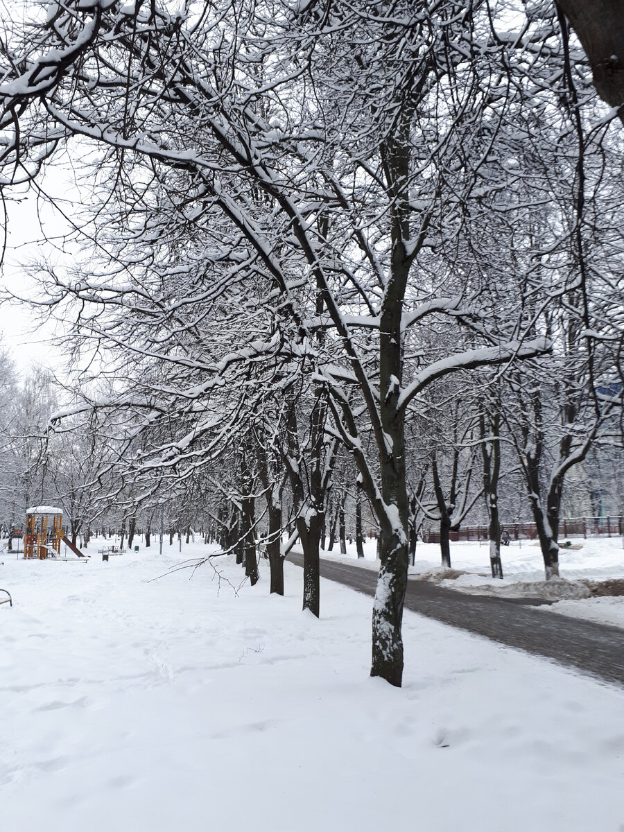 Прогулка в сквере в моём районе на юге Москвы, иду в фикс прайс 16.12.2021г смотреть новинки