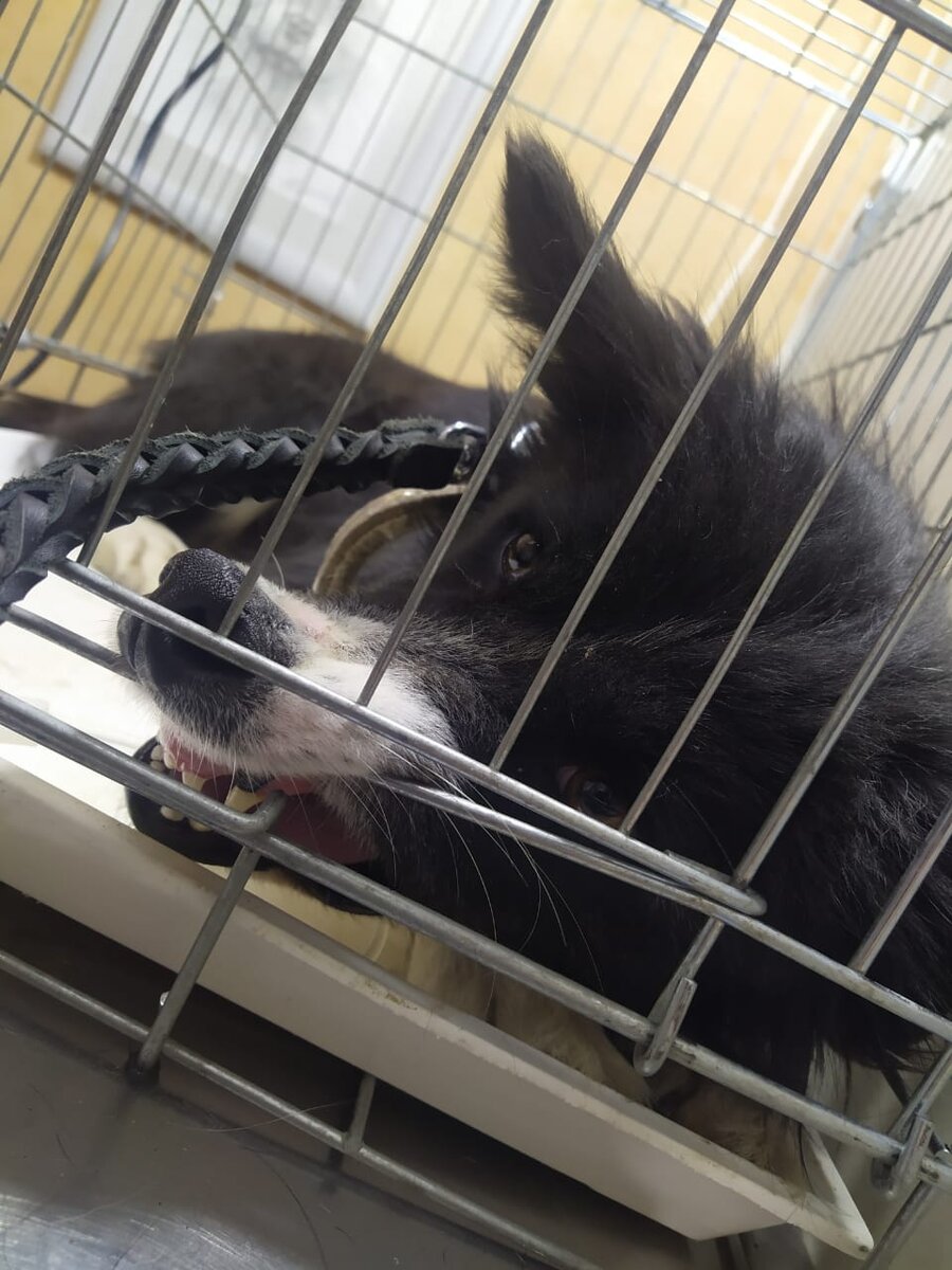 Здесь уже явно виден протест ))