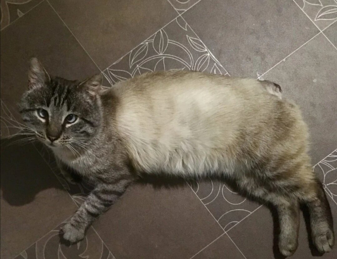Кузя 