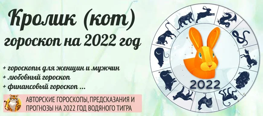 Год рождения кролика по гороскопу. Кролик гороскоп. Год кролика гороскоп. Кот кролик гороскоп. Год кролика 2022.