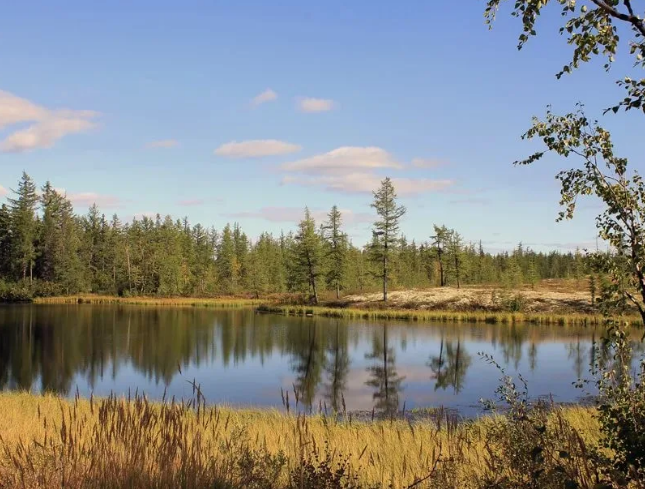 Фото взято в качестве примера к публикации из Яндекс Картинок 