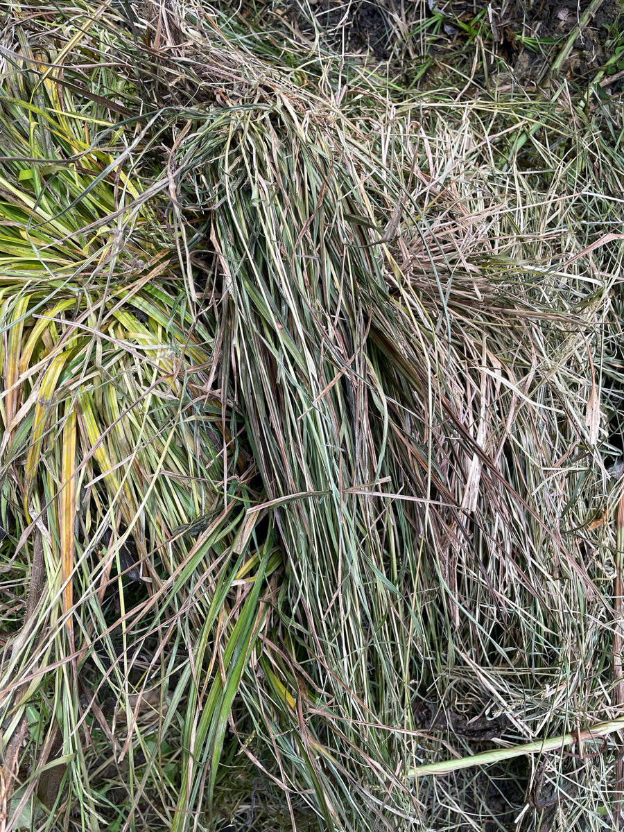 Как приготовить компостную смесь в мешке: пошаговая инструкция | Живые ...