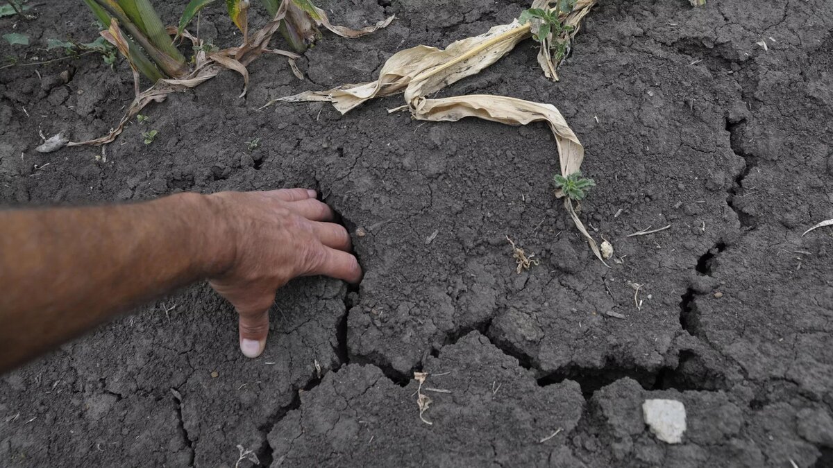 © РИА Новости / Андрей Архипов