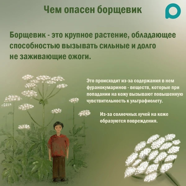 Дело говорят