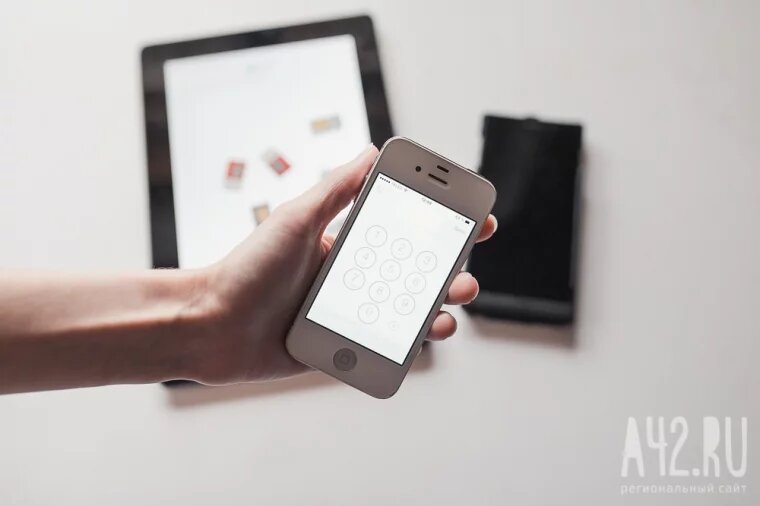 Фото: архив A42.RU