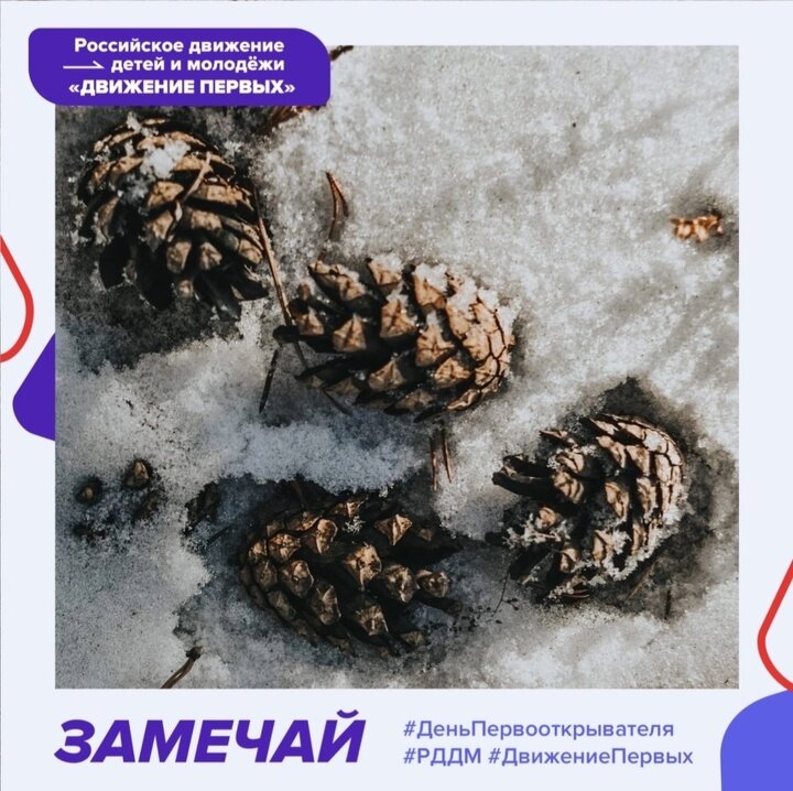     фото из группы «РДДМ «Движение первых» | Забайкальский край» во ВКонтакте