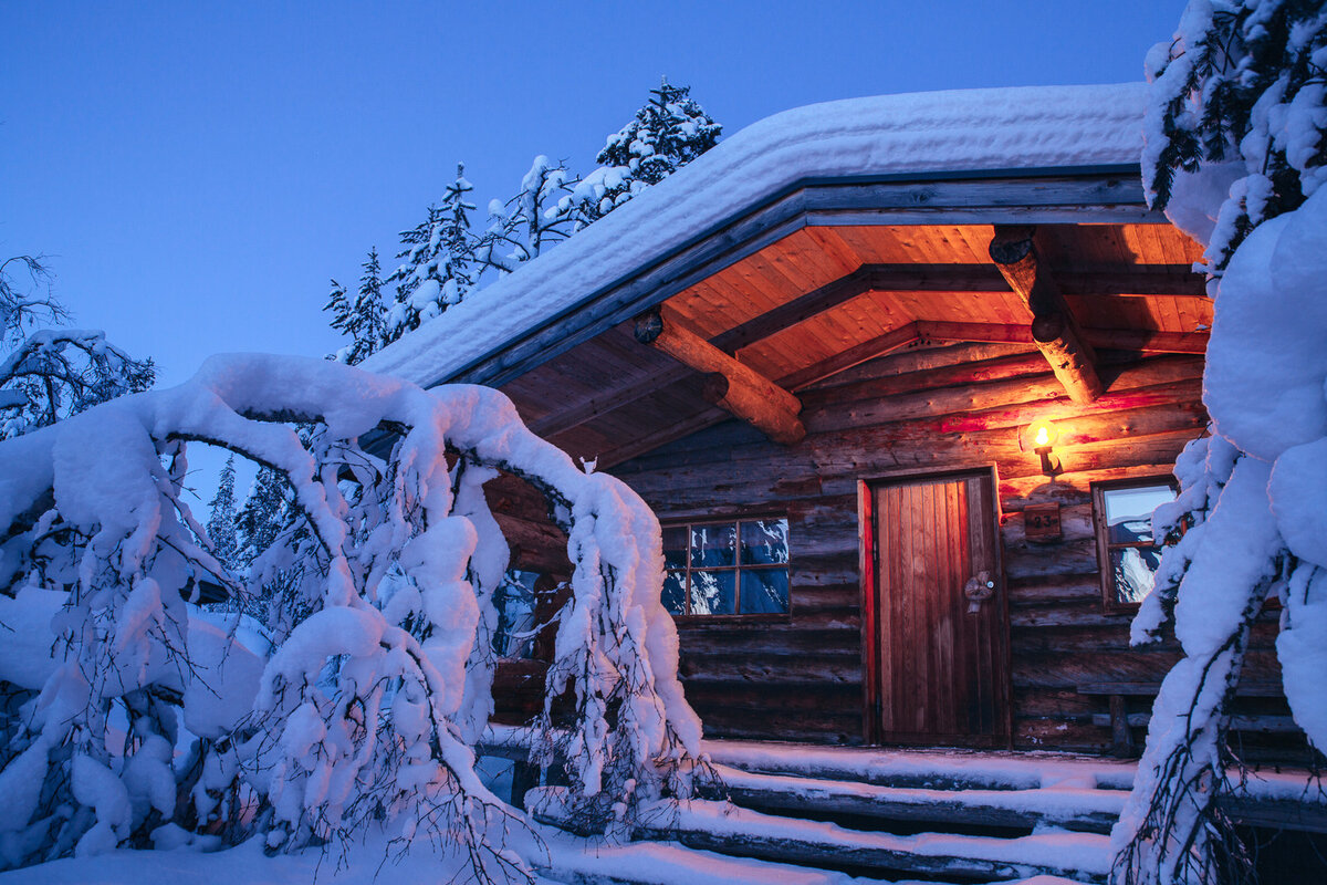 Forest Cabin сруб