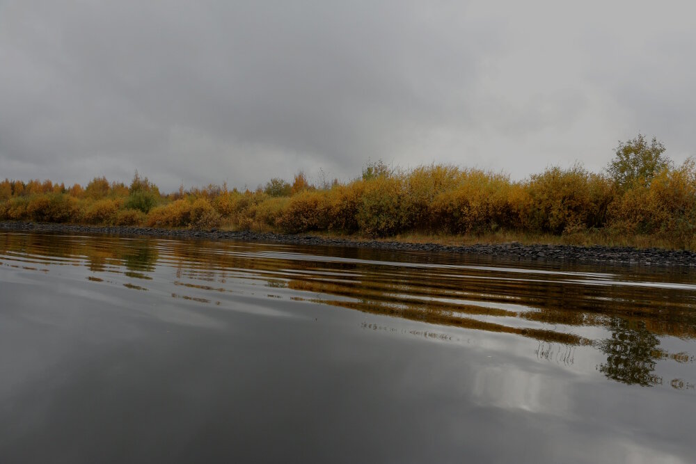 Родной берег