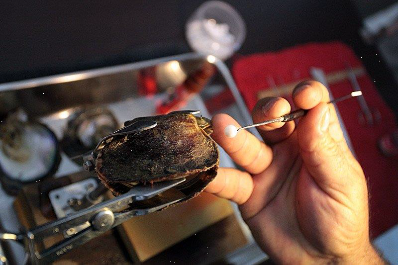 "Самая низкая стоимость у пресноводных
жемчужин барочной формы, если они одиночны, 
но как только их подбирают в похожие пары
и комплекты, цена стремительно растет."