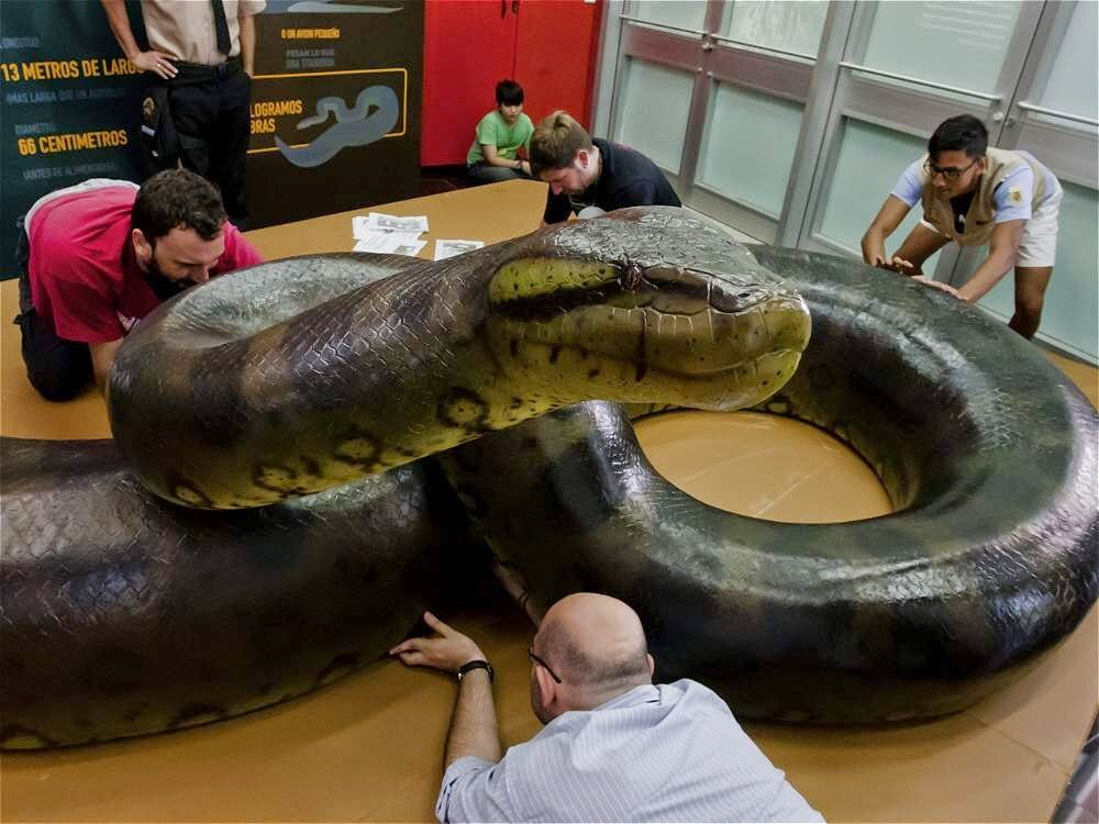 La serpiente mas grande del mundo