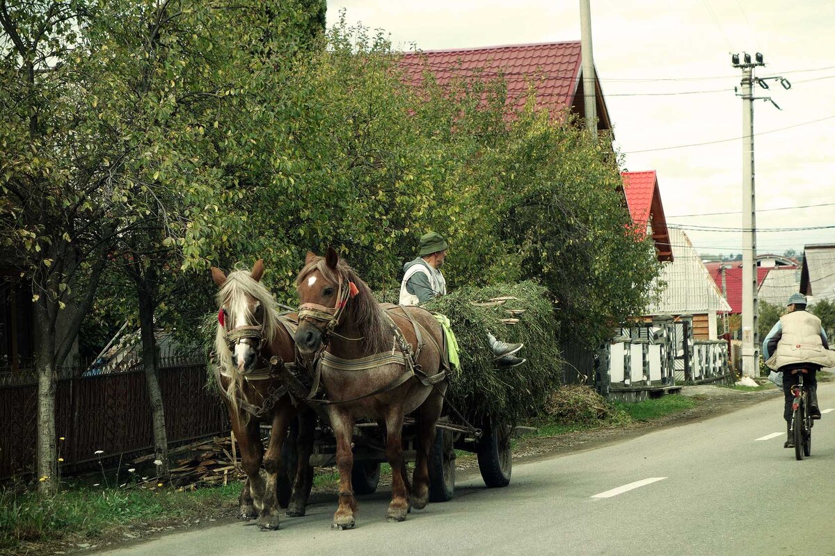 Румыния. часть 1. Марамуреш, Молдавия | Vesela voyage / Путешествия | Дзен