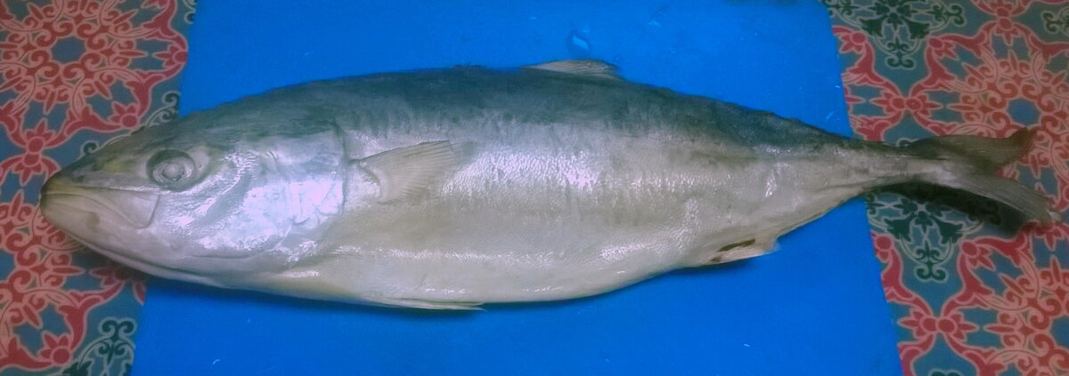 Тунец, вчера выловленный в магазине, вес 1,2 кг. вчера же запечен, рецепт чуть позже.