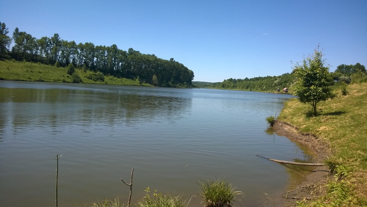 Саратов Карамяновский пруд