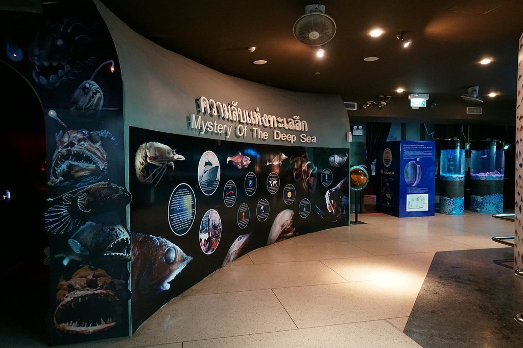 
Океанариум, а если правильно, то аквариум на Пхукете (Aquarium Phuket) был открыт в 1983 году в качестве объекта министерства окружающей среды Таиланда, а в 2005 году это здание перестроили, произвели редизайн и открыли для общественности (скорее всего, на фоне огромного интереса со стороны иностранных туристов к королевству Тайланд это выглядело, как отличная инвестиция).