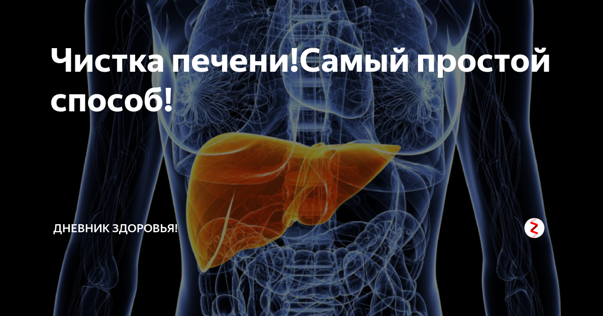 печень бурчит живот. тюбаж печени картинки. чистка печени раннюю. методы очищения печени. чистка печени и почек.