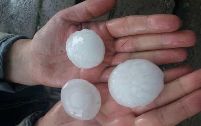                                                            Фото: facebook.com/Ельвіна Підгаєцька