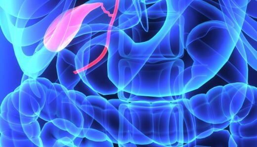                                             Фото: ProMoiPochki.ru