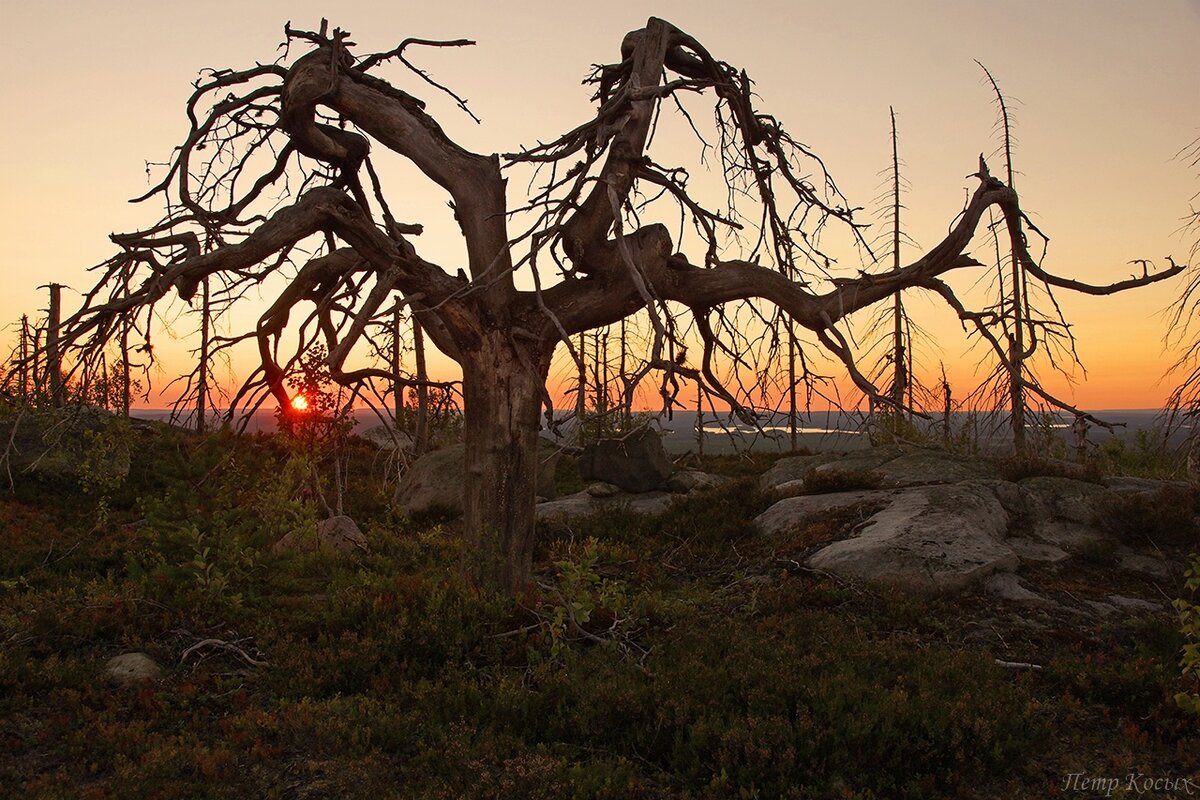 Фото Петра Косых