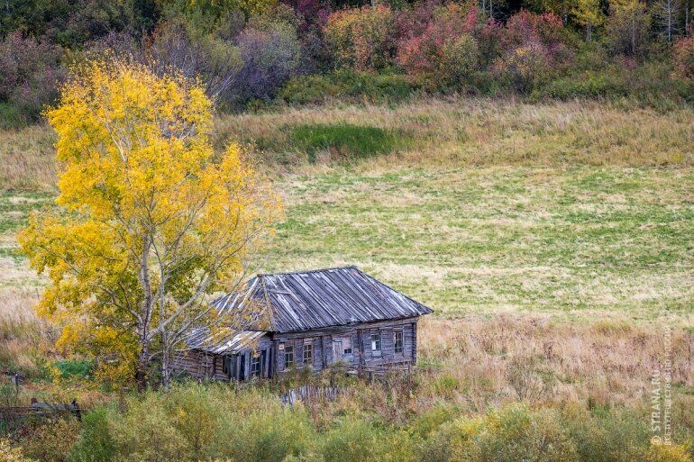 Деревня живет. 15 фото с сельской романтикой Алтайского края