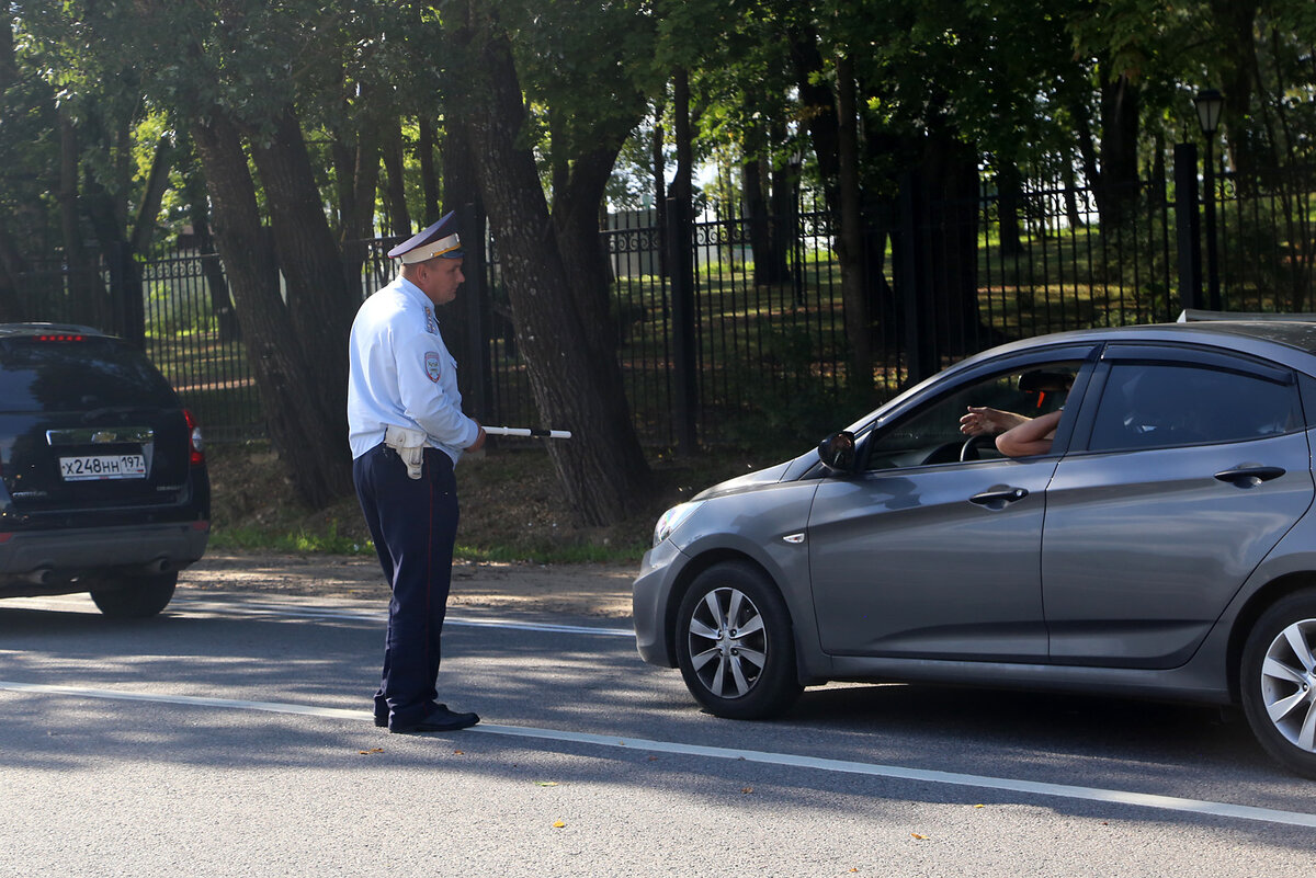 Осмотр и досмотр автомобиля: в чём различие? | АвтоБерег | Дзен