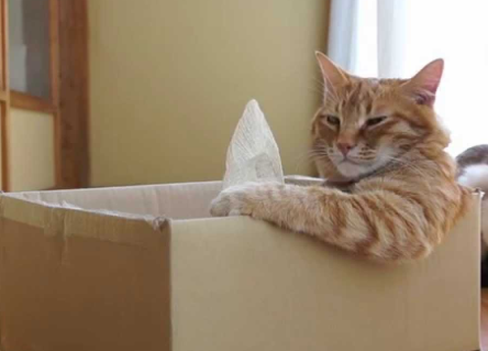 Скриншот https://www.youtube.com/watch?v=vlr9-FnB0ZM