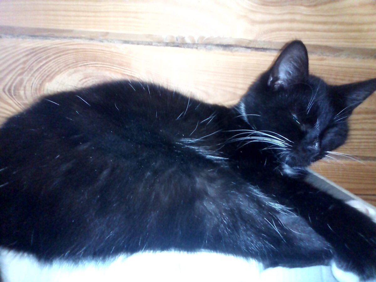 Чита на своём любимом месте