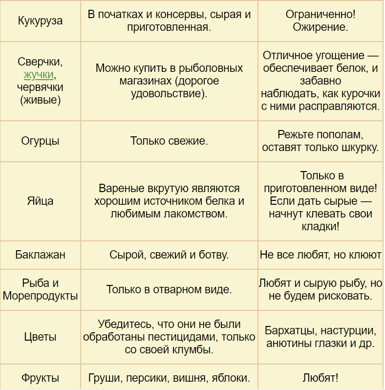 Можно ли давать курам листья салата