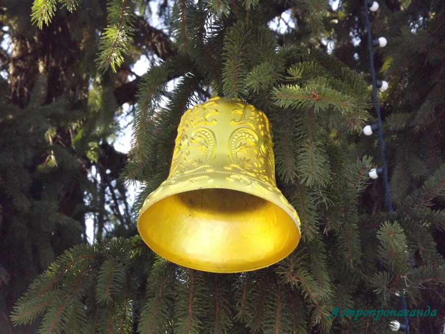 Коллаж Нины Стрелковой.