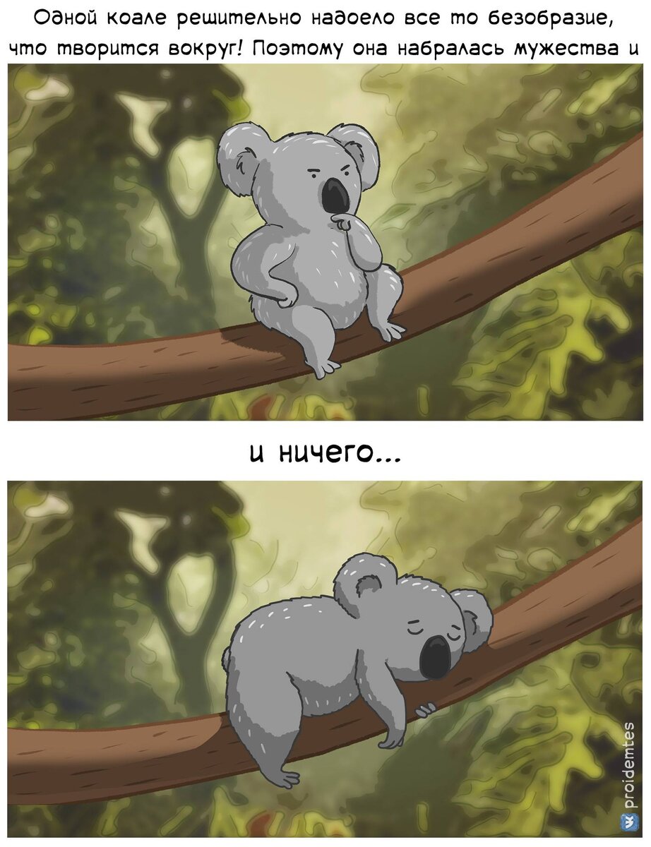 итоги года смешные картинки. подводим итоги уходящего года. шутки про итоги года. коала шутка. подведение итогов года шутка.