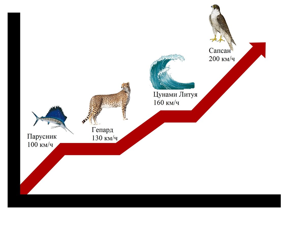 Диаграмма животных. Сравнение скорости. Скорость животных. Сравнить скорость животных. Скорость животных диаграмма.
