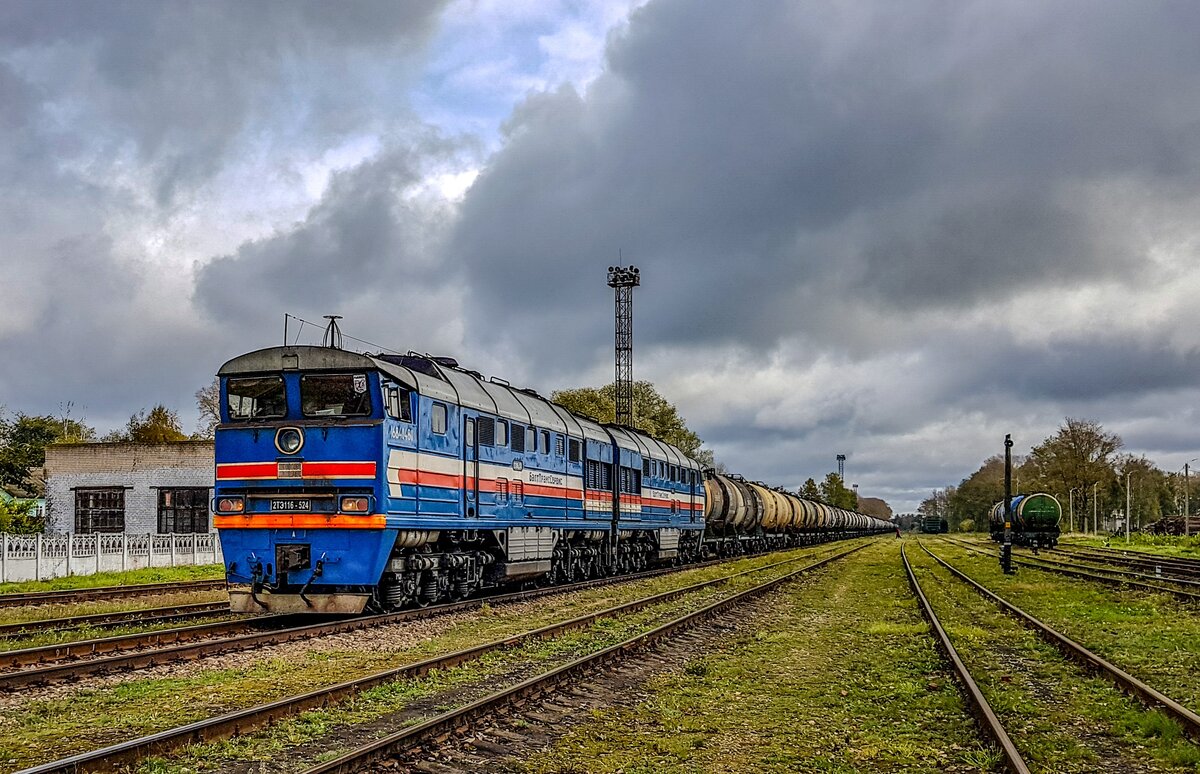 Фото: Алексей Алексеев