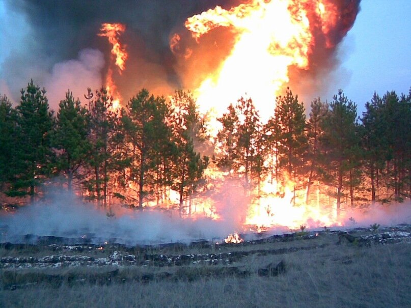 Горящий дом. Простой пожар. Аниме правительство пожар. Знак огня. Чс/мчс.