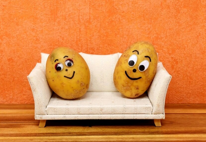 Фото: pixabay.com