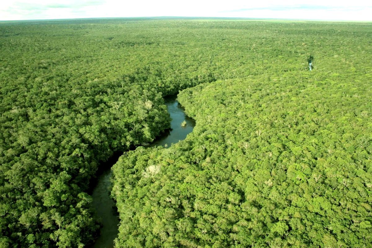Амазонская Сельва