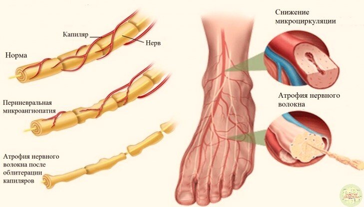 Фото с сервиса Яндекс. Картинки