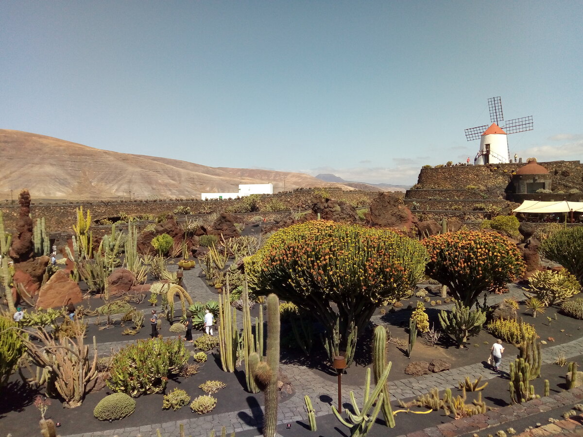 Que hacer en lanzarote con niños