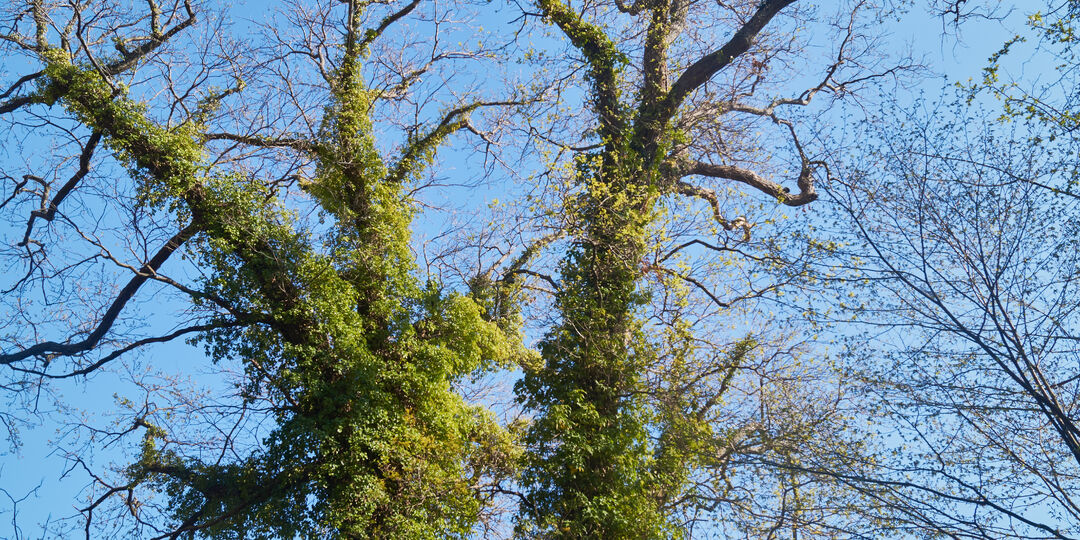 Универсальное решение