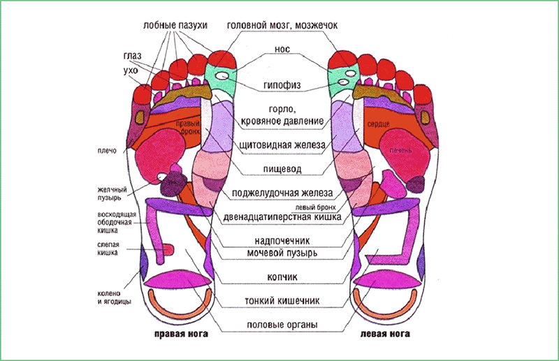 Отвечает снизу. Схема рефлекторных зон стопы человека. Органы на стопе человека. Зоны Роганов на ступнях ног. Биологические точки на стопе.