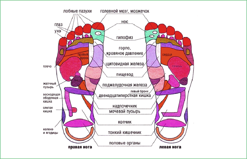 Почему ступни. Стопа рефлексогенные зоны рисунок.