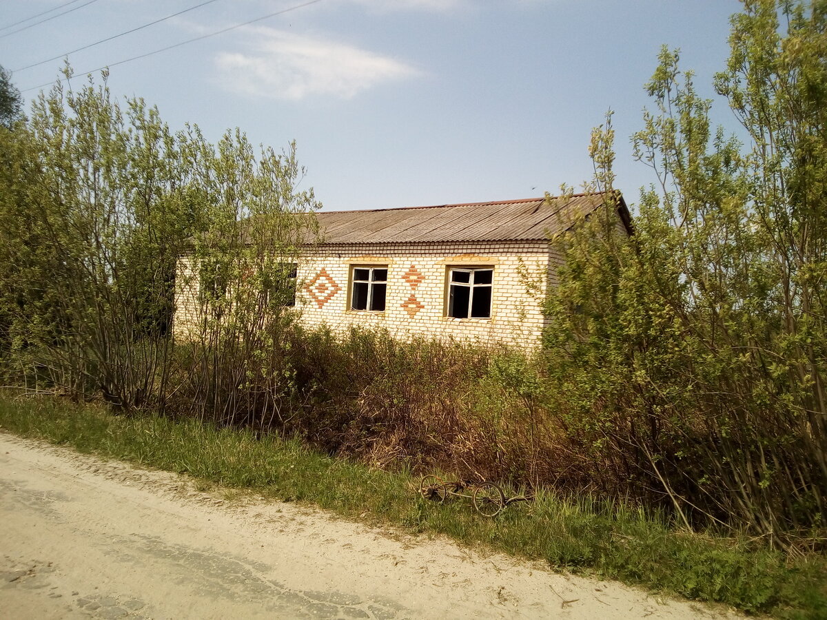 Деревня дали. Деревня Родина Казахстан. Родина деревня. Поселок Родина. Проклятая деревня в России.