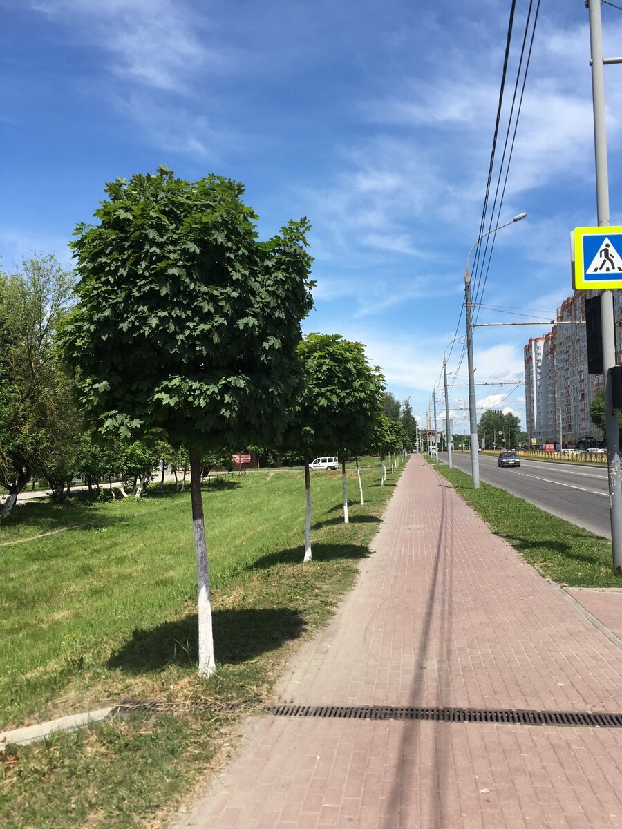 северный парк в славянске на кубани