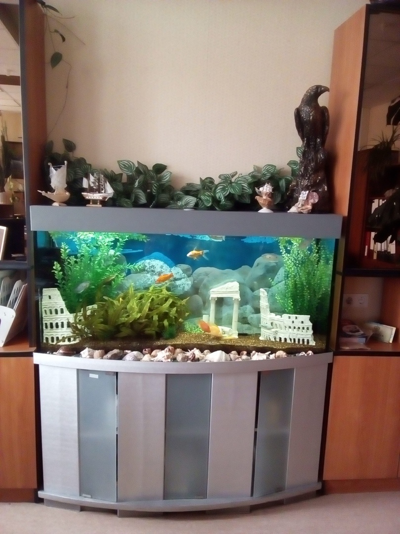 Я новичок в дзене. Поэтому если у вас возникли ко мне вопросы - буду рада на них ответить. 